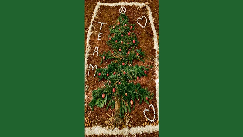 Weihnachten 2018 – Motiv mit Tannenbaum, Herzen und "Team"-Aufschrift aus Naturmaterialien